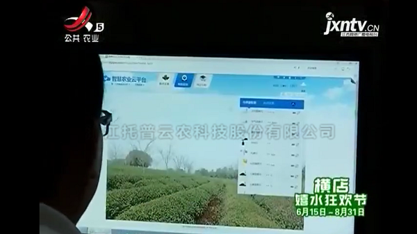 江西公共衛視播報修水果菜茶替代項目